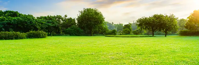 Large plot of land with green grass and trees