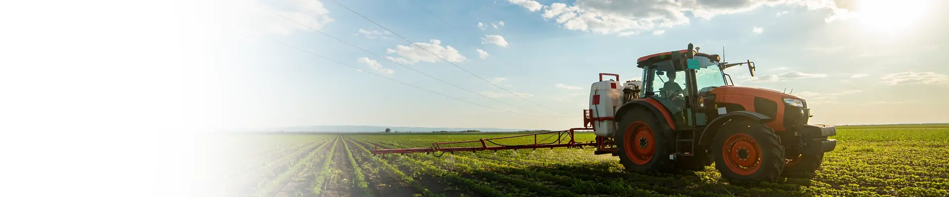 Ag Services | Farm & AgriBusiness Financial Solutions