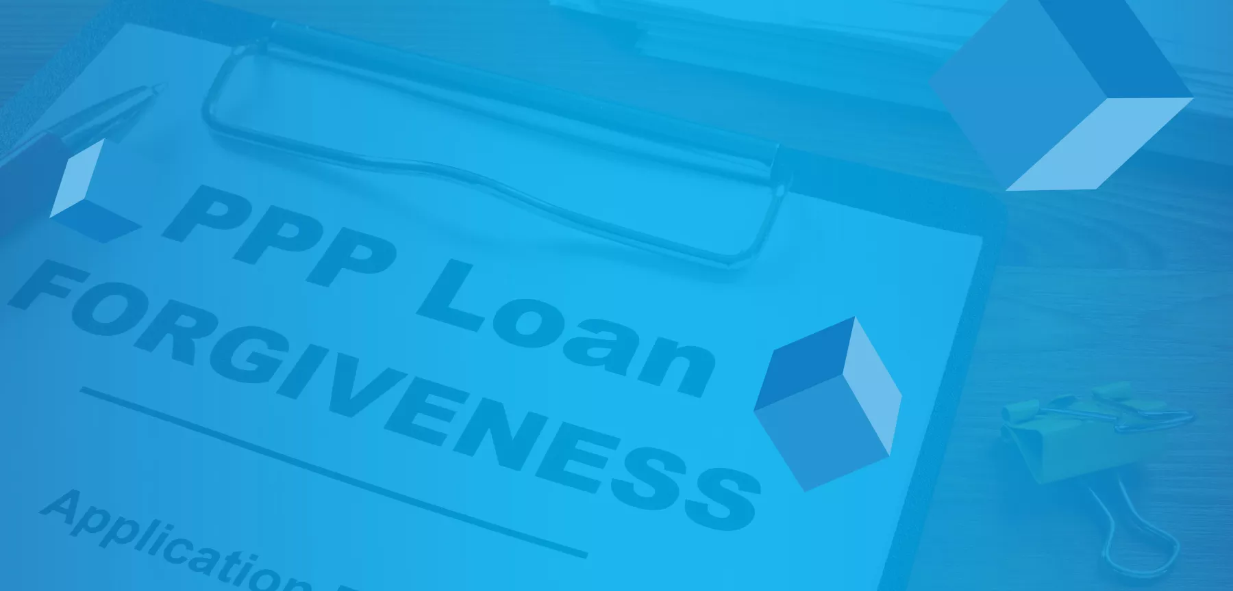 ppp loan forgiveness application image