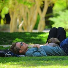 Couple laying in the shade on grass